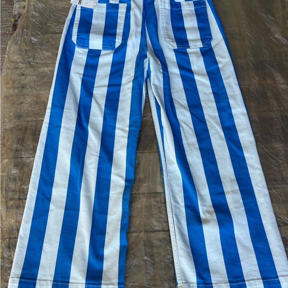 Anthropologie Maeve Colette Stripe Pant Size 30 NWT